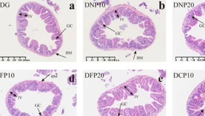 金沙(797966·Sands认证)娱场城-Best Platform