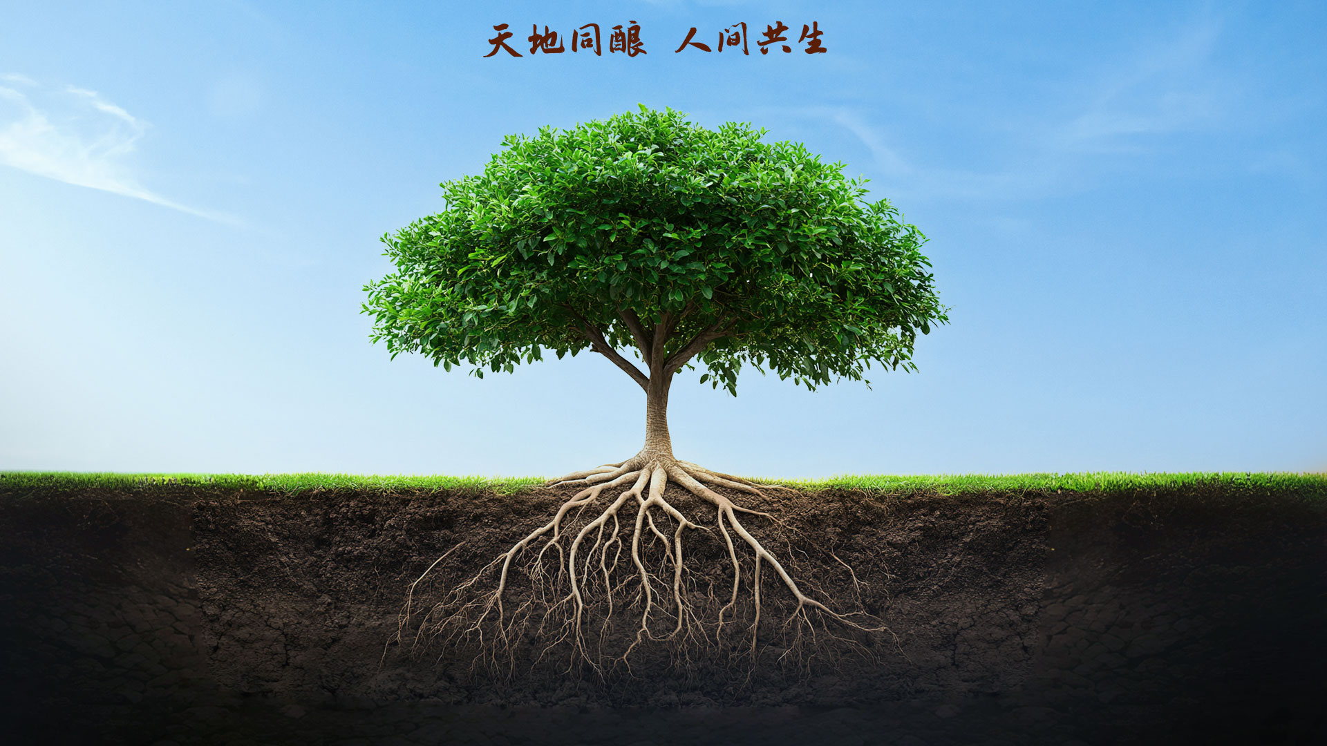 金沙(797966·Sands认证)娱场城-Best Platform